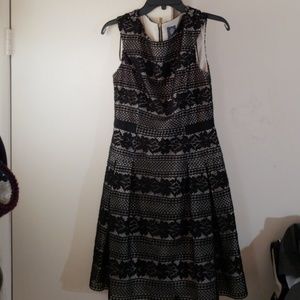 Vince camuto dresses